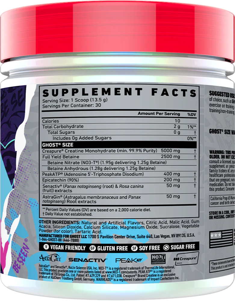 Ladda bild till gallerivisaren, Ghost Size V3 - 30 servings Natty