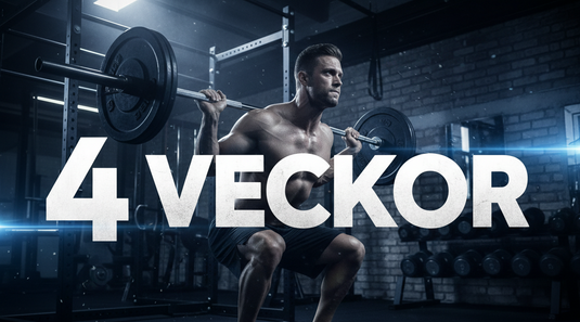 Plan 1 – 4 veckor online träning med personlig tränare