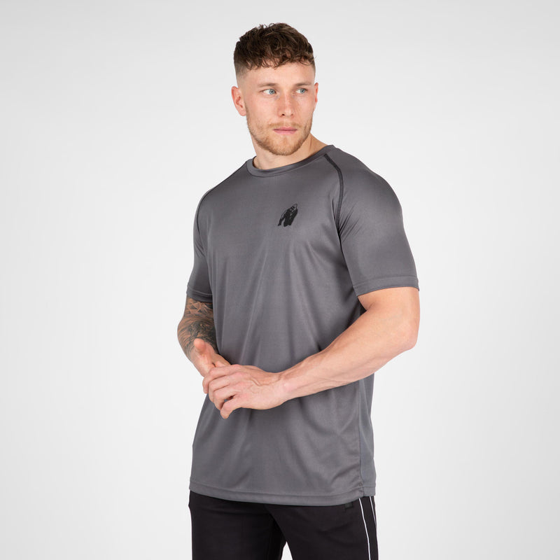  Ladda bild till gallerivisaren, Gorilla Wear Performance T-Shirt, grey
