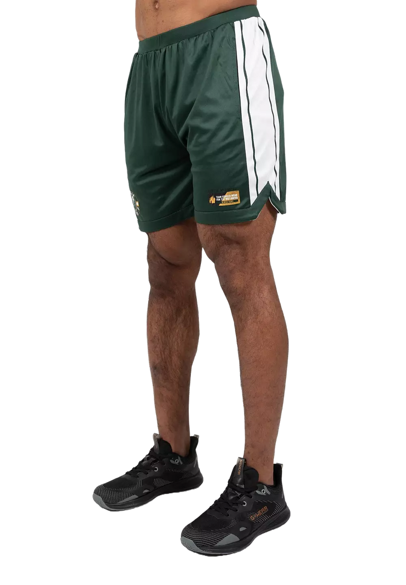  Ladda bild till gallerivisaren, Gorilla Wear Orlando Shorts, green
